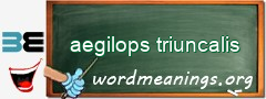 WordMeaning blackboard for aegilops triuncalis